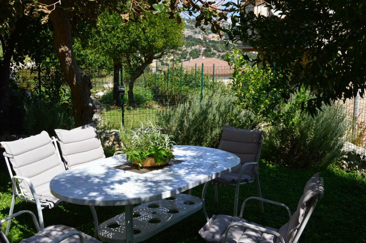 Garden&House Amore Vero 莫迪卡 外观 照片