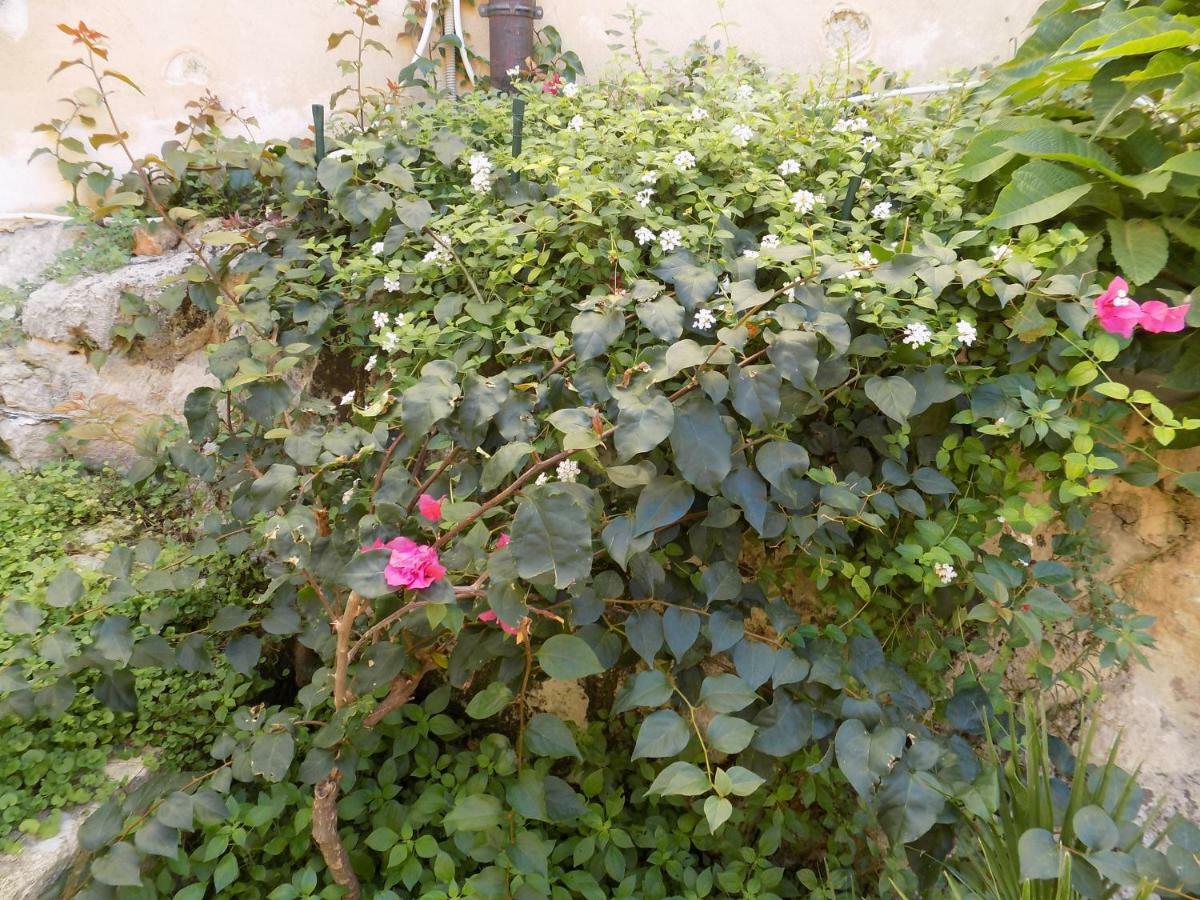 Garden&House Amore Vero 莫迪卡 外观 照片